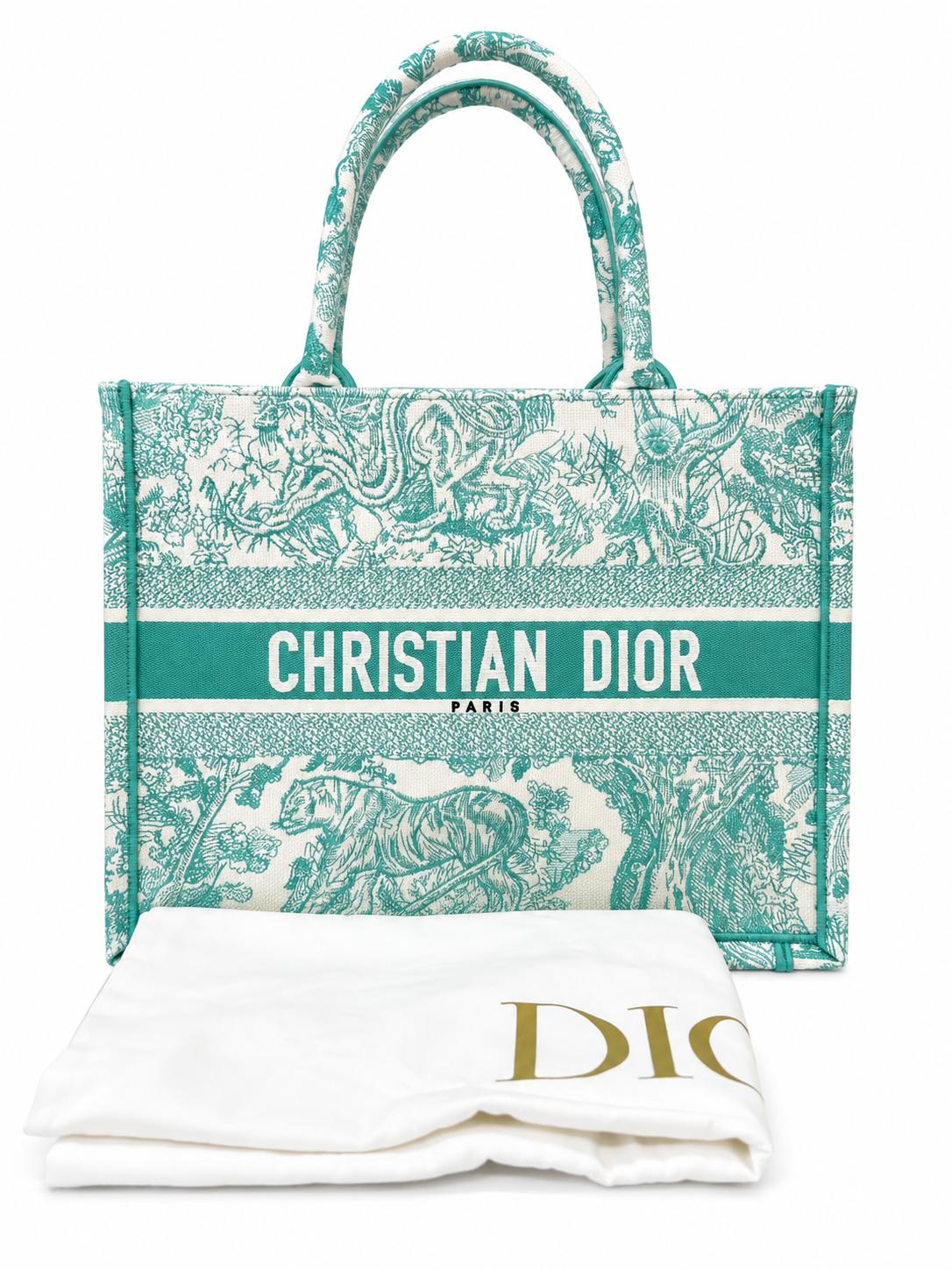 Christian Dior Medium Dioriviera Toile De Jouy Book Tote Aquamarina