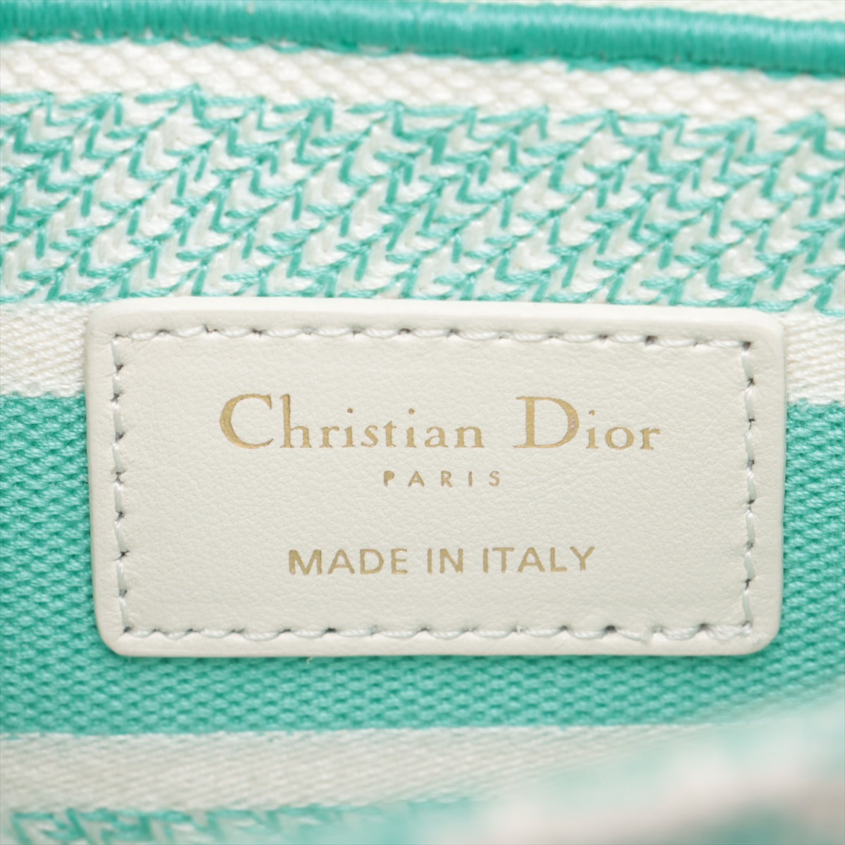 Christian Dior Lady Dee Light Medium Twardu JUY Embroidery canvas 2 Way Handbag White x green
