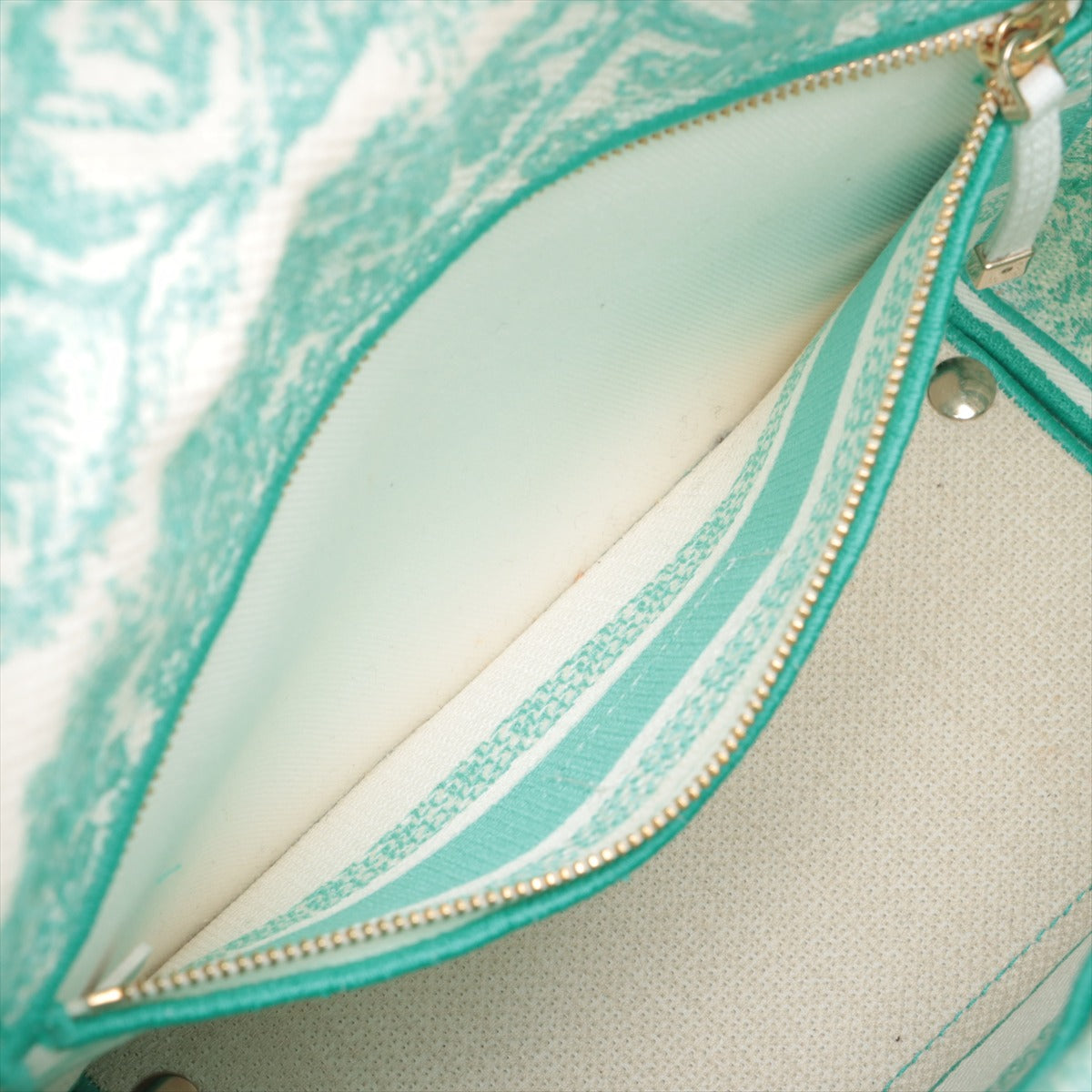 Christian Dior Lady Dee Light Medium Twardu JUY Embroidery canvas 2 Way Handbag White x green