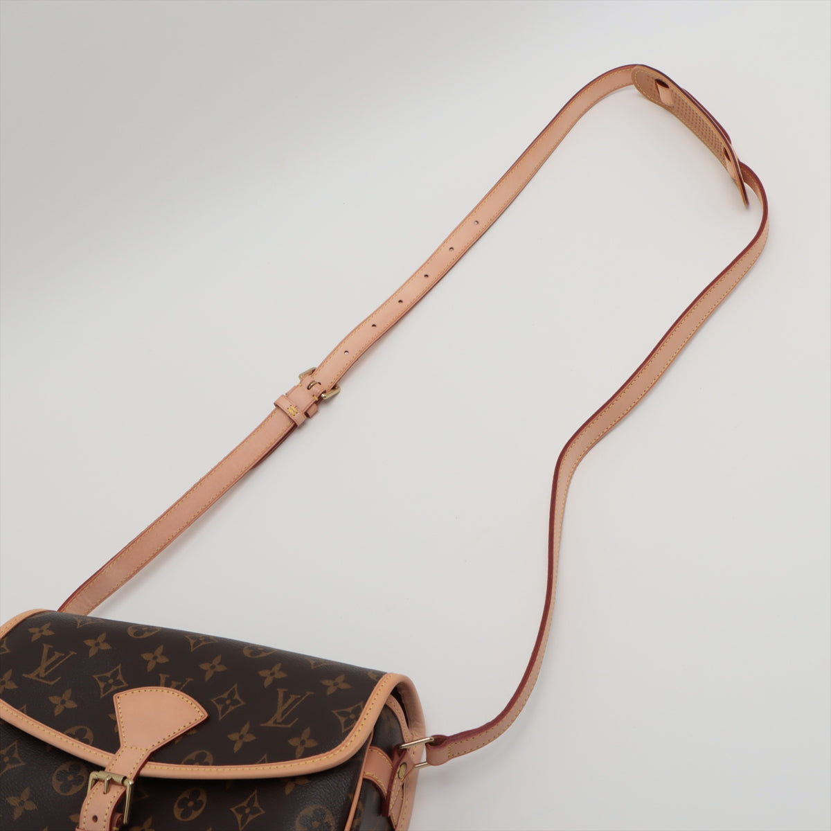 Louis Vuitton Monogram Sologne M42250 TH1069