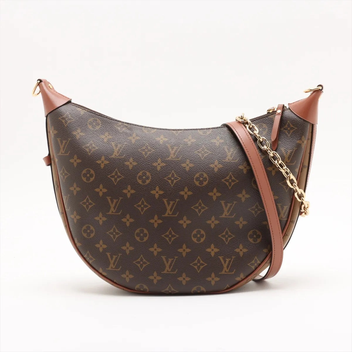 Louis Vuitton Monogram Loop Hobo