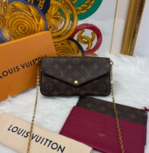 Louis Vuitton Félicie Pochette