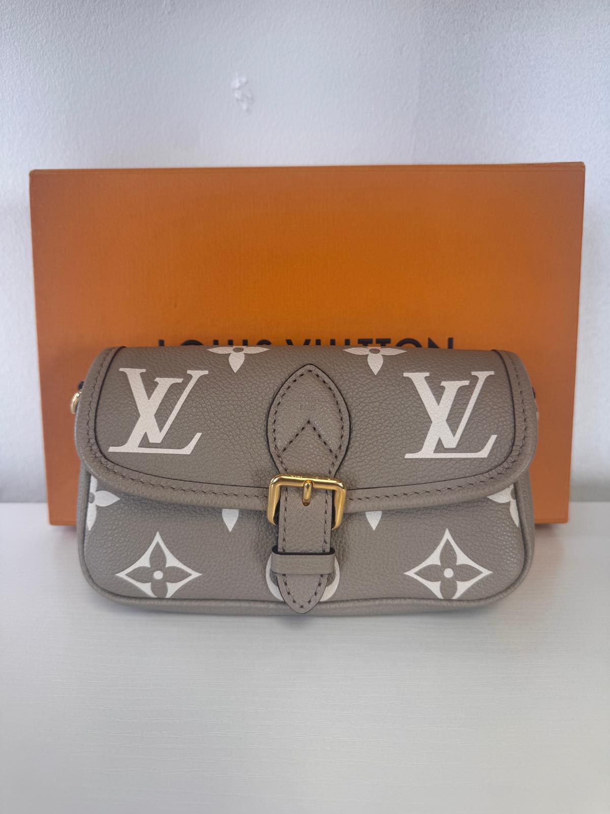 Louis Vuitton Grey Empreiente Diane Nano Crossbody Bag