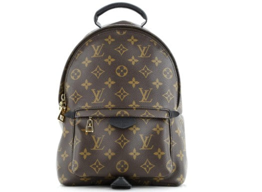 Louis Vuitton Palm Springs Backpack Monogram Canvas PM
