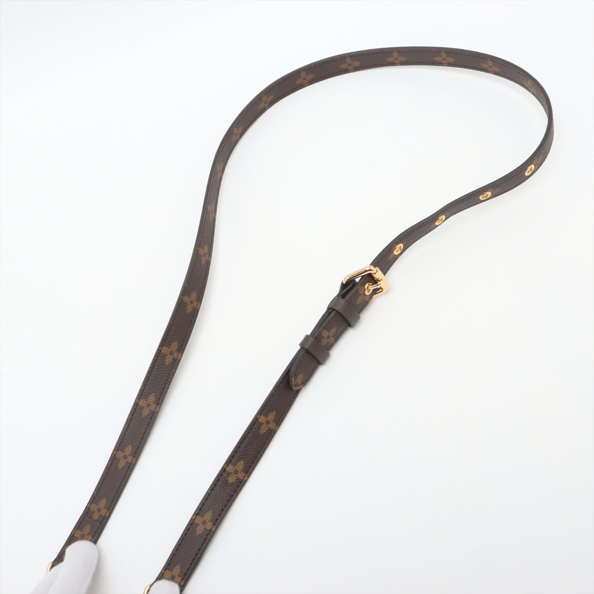 Louis Vuitton Monogram pochette metis