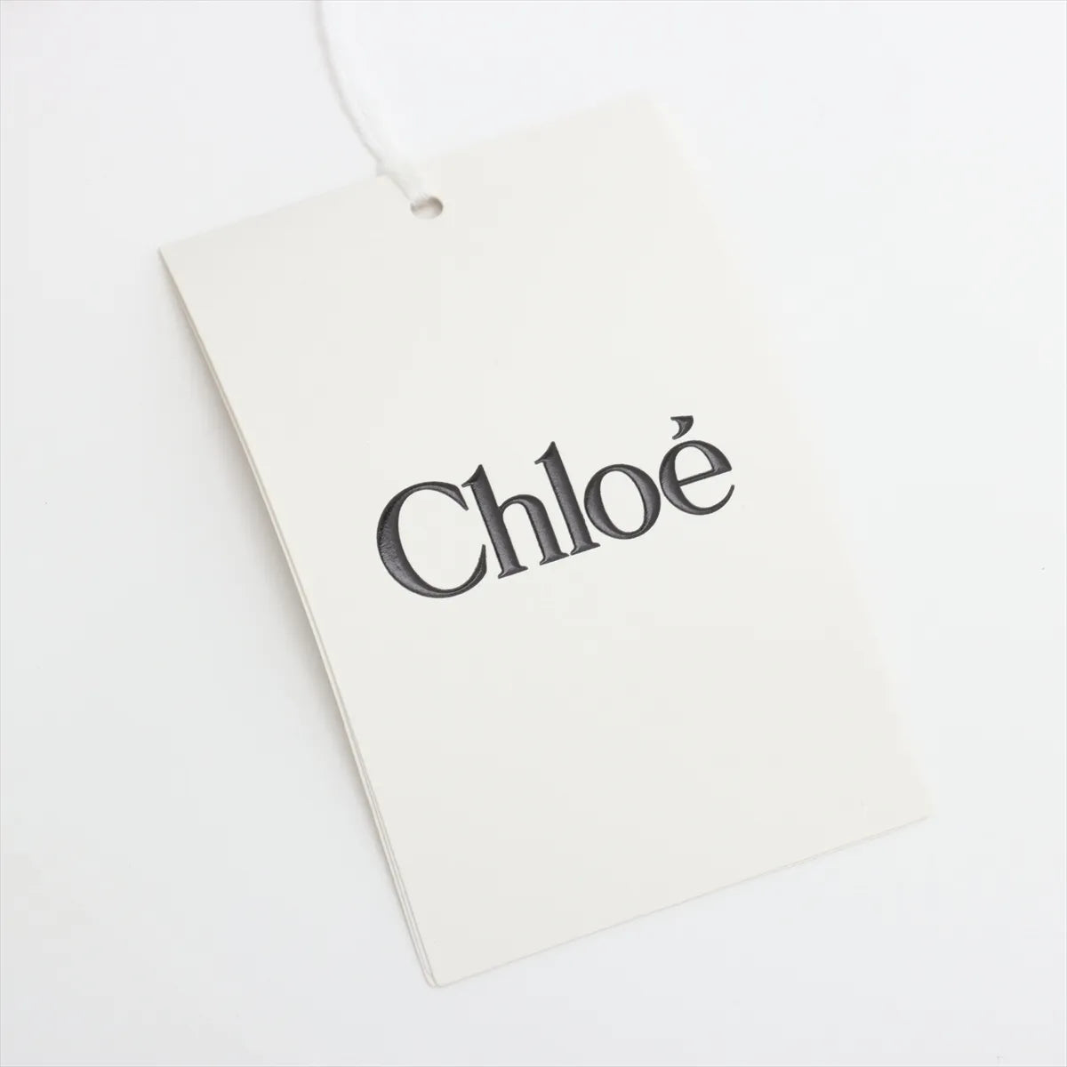 Chloe woody Mini canvas 2 Way Handbag Beige x green